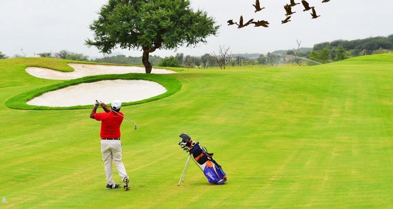 1755588828_golf7