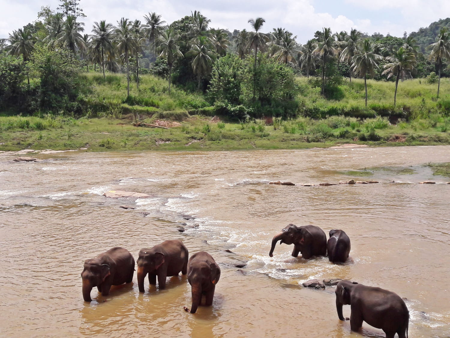 Into The Wild, Sri Lanka (1) (1)
